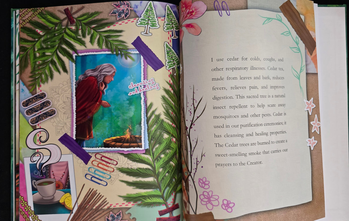 Me as a Tree; A Cohanzick Lenape Tale - Spine Words